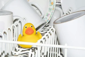 dishwasher with duck